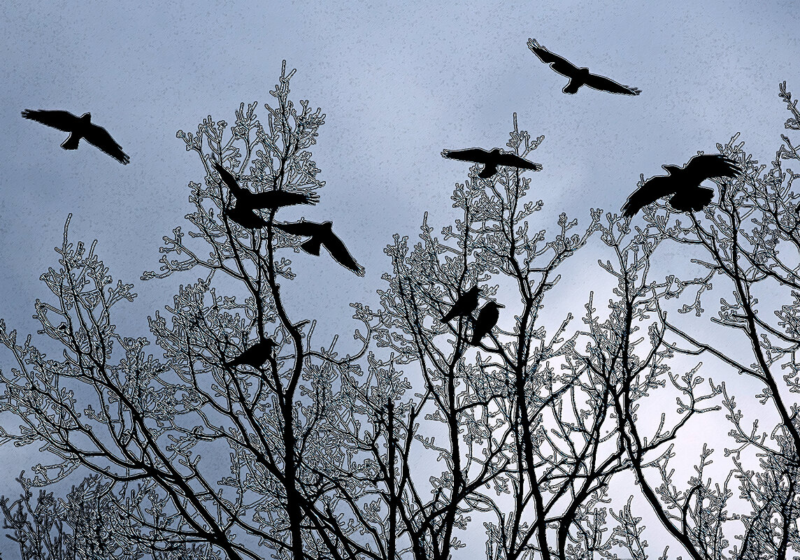 Вспугнули... - Валентина  Нефёдова 