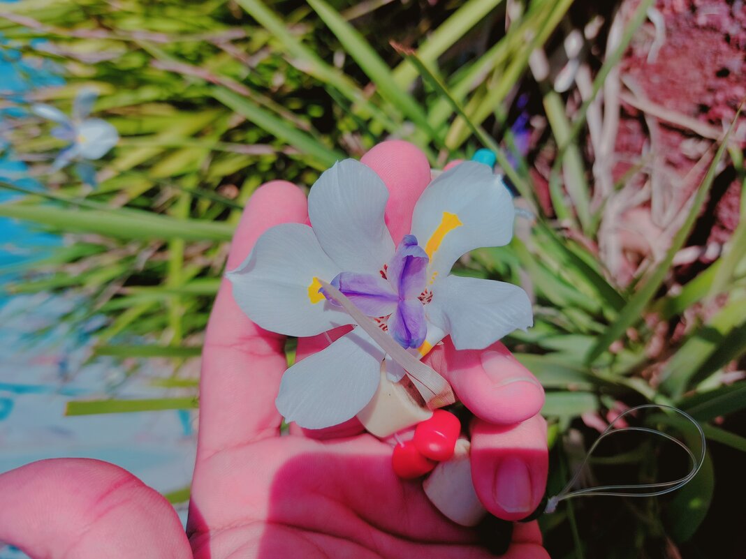 109 (88) - СТРЕН 