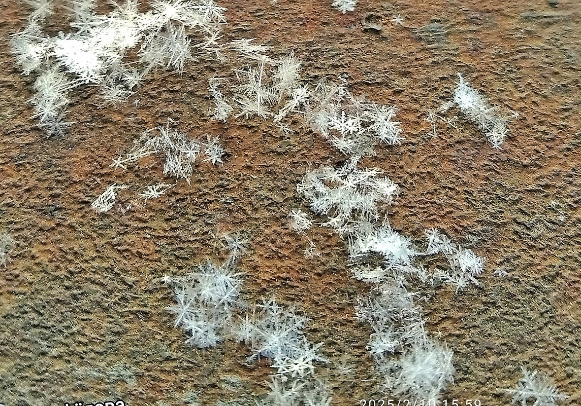 Падал снег! - Валентина Нефёдова Падал снег! - Валентина Нефёдова