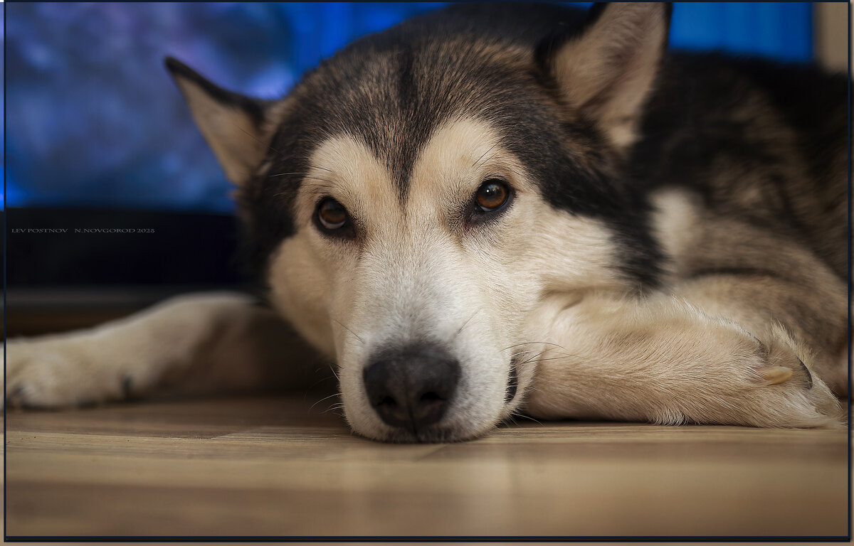 Ярик. - leff Postnov Ярик. - leff Postnov