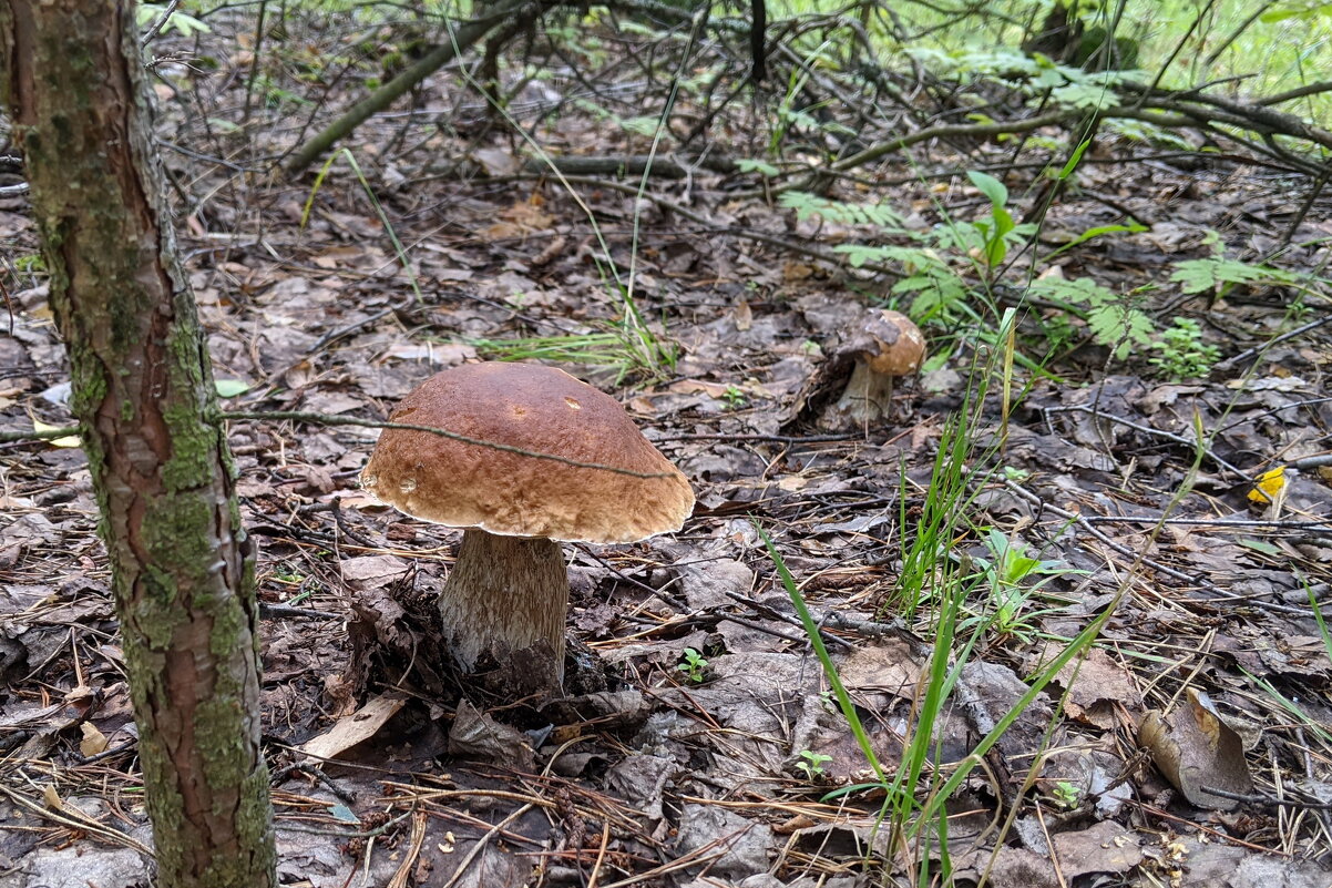 Находка - Валерий Судачок Находка - Валерий Судачок