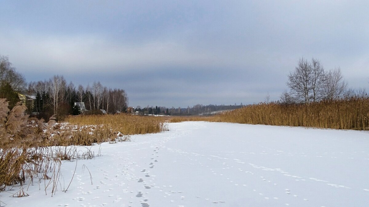 Про смоленскую зиму. - Милешкин Владимир Алексеевич Про смоленскую зиму. - Милешкин Владимир Алексеевич