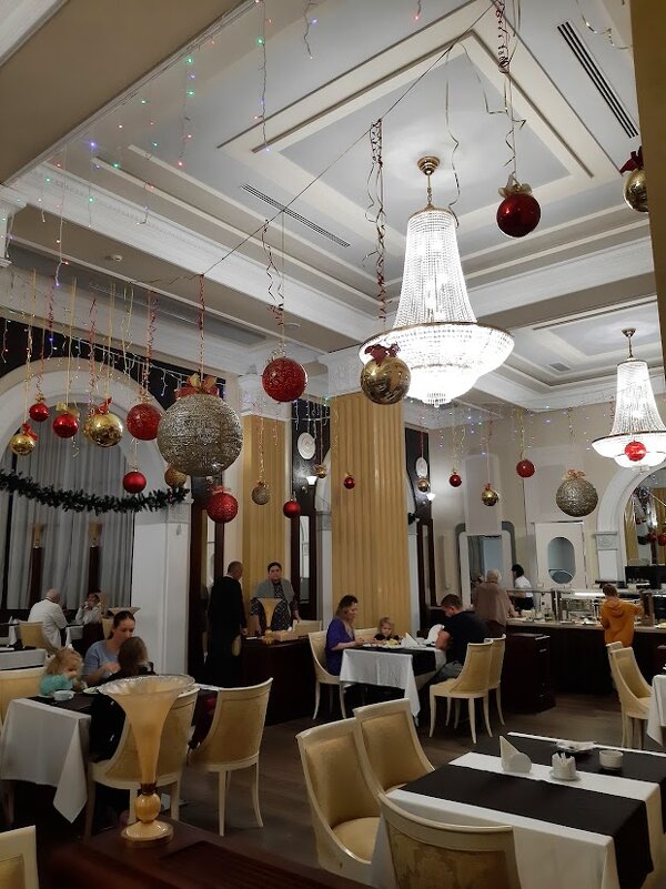 Санаторий Авангард Сочи. Январь 2025 - Tata Wolf