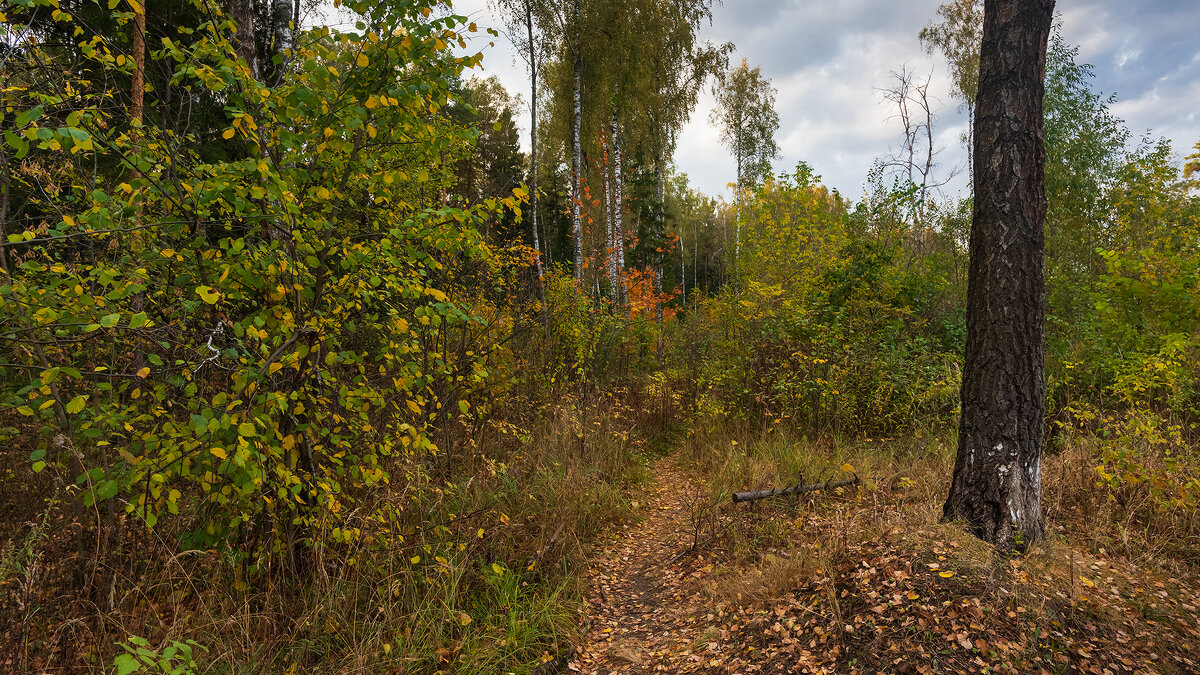 Сентябрь - Владимир Лазарев