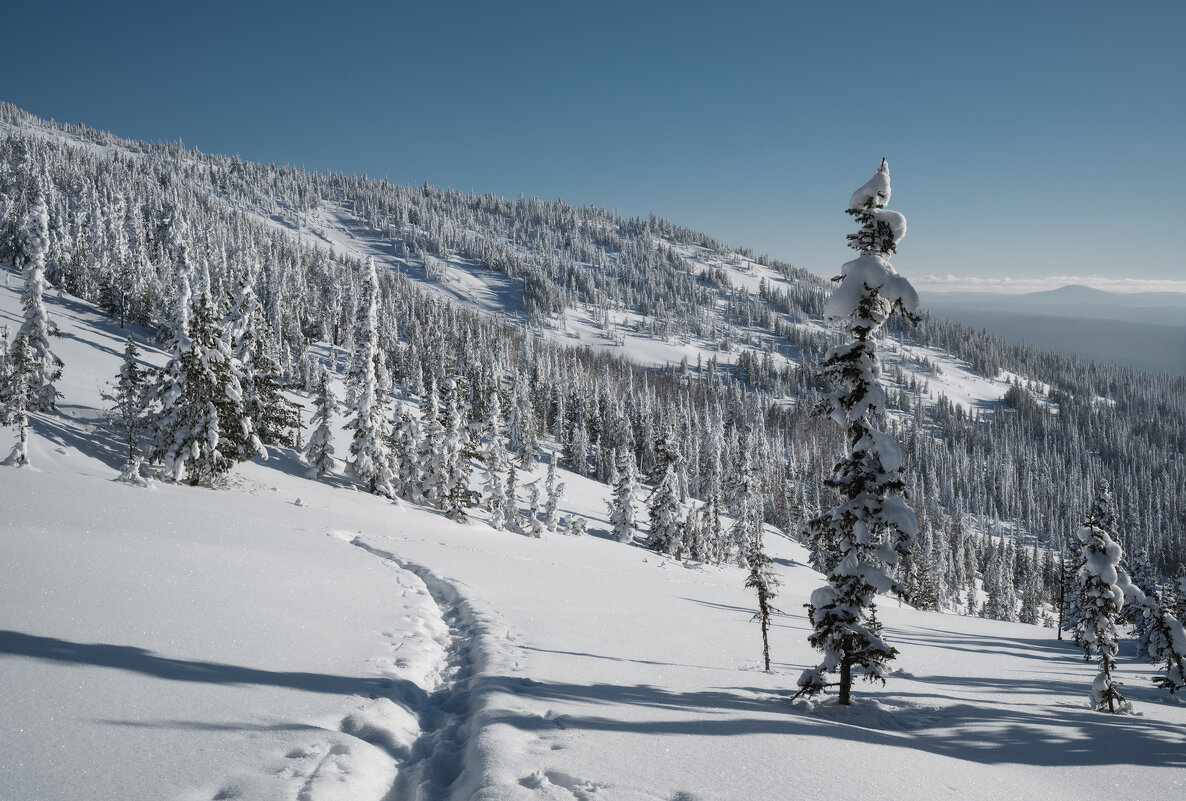 * - Александр Иванов * - Александр Иванов