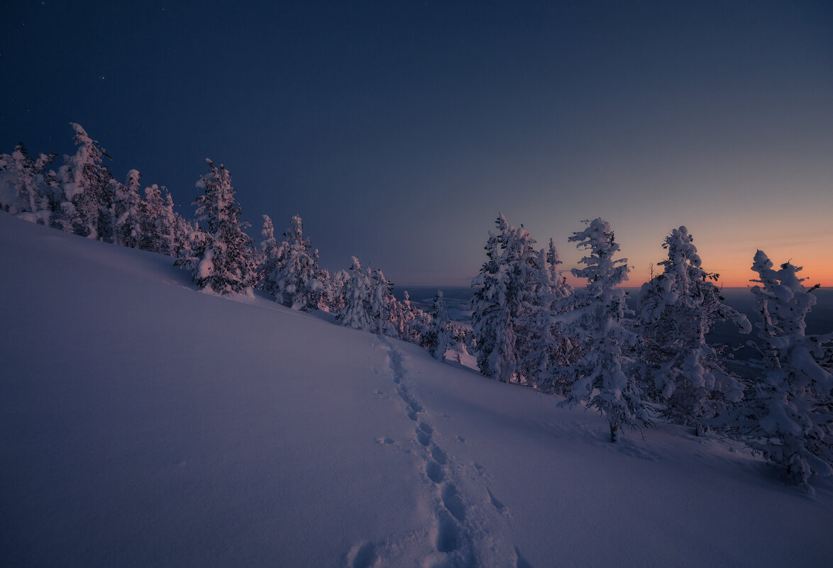 * - Александр Иванов * - Александр Иванов