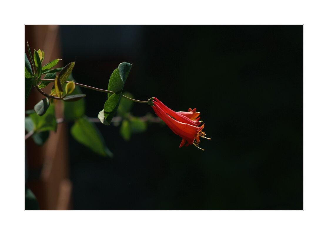 *** - Art __ *** - Art __