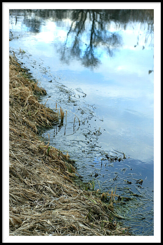 5 - Гонорий Голопупенко 5 - Гонорий Голопупенко