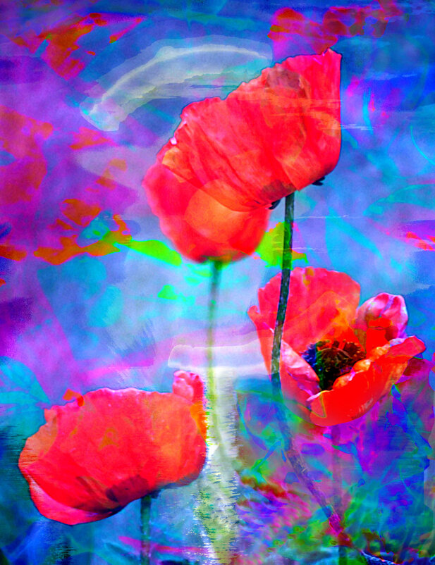 Утро - Александр Копалов Утро - Александр Копалов