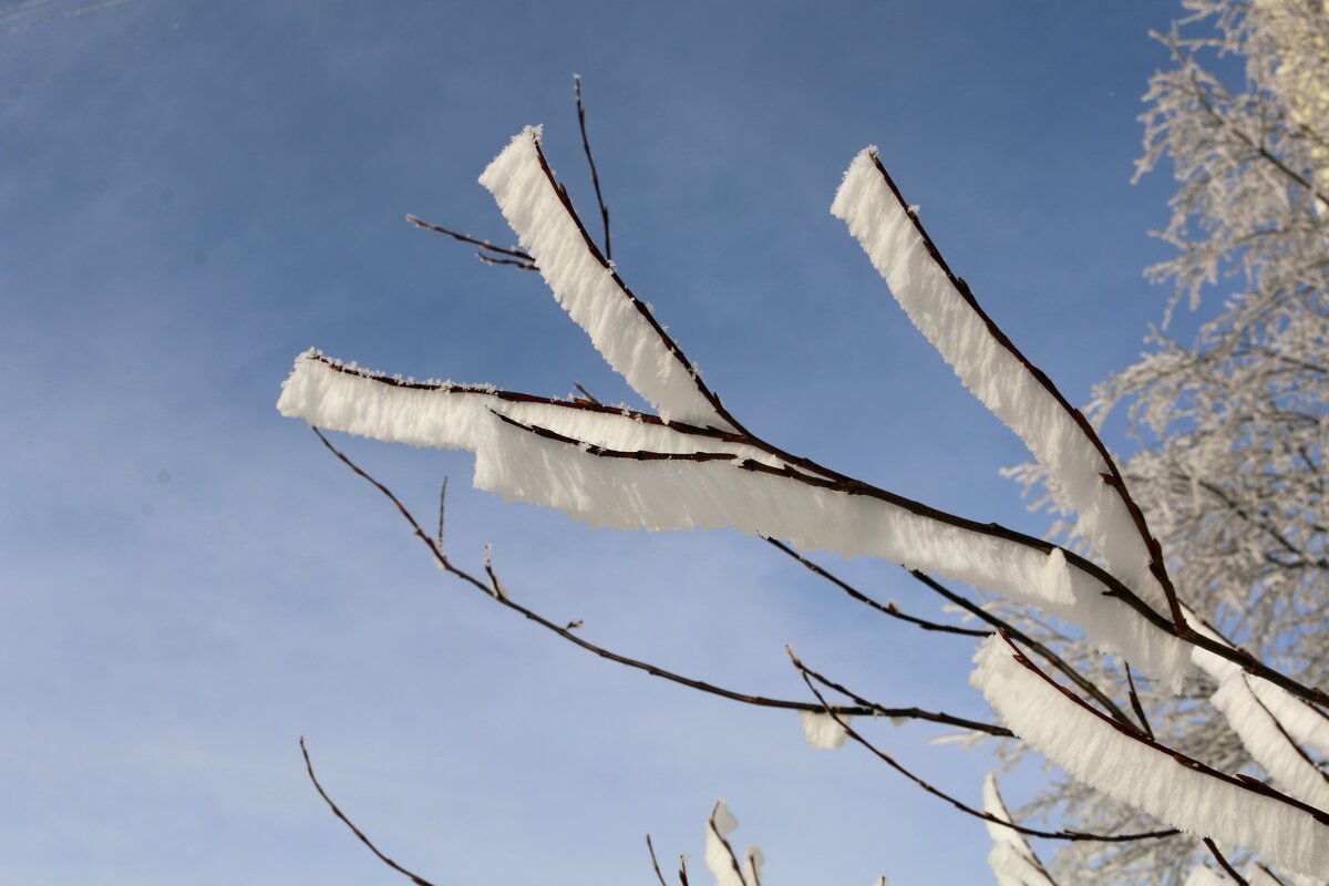 Редкий иней - Ольга Редкий иней - Ольга