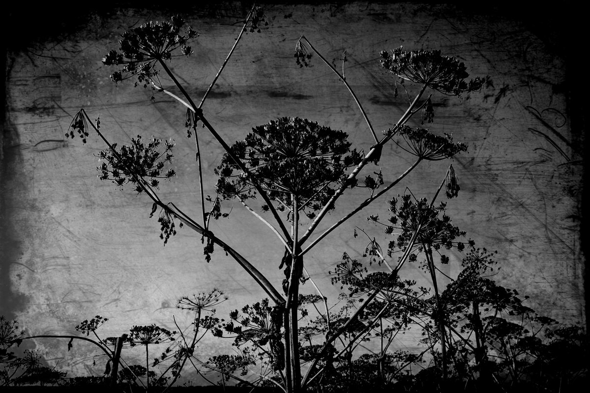 Название отсутствует - Денис Безногов Название отсутствует - Денис Безногов