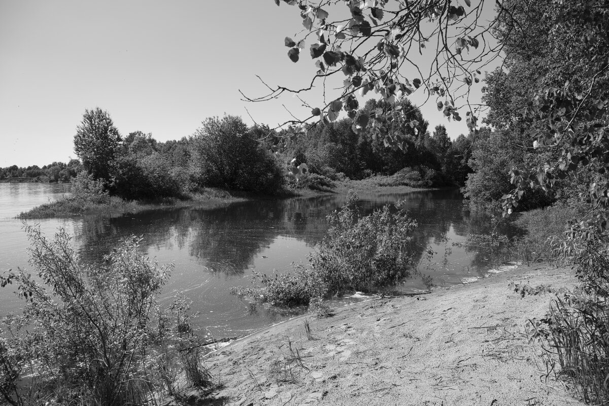 Название отсутствует - Денис Безногов