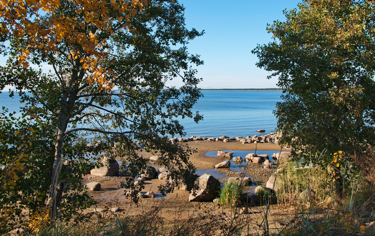 Солнечный октябрь - lady v.ekaterina Солнечный октябрь - lady v.ekaterina