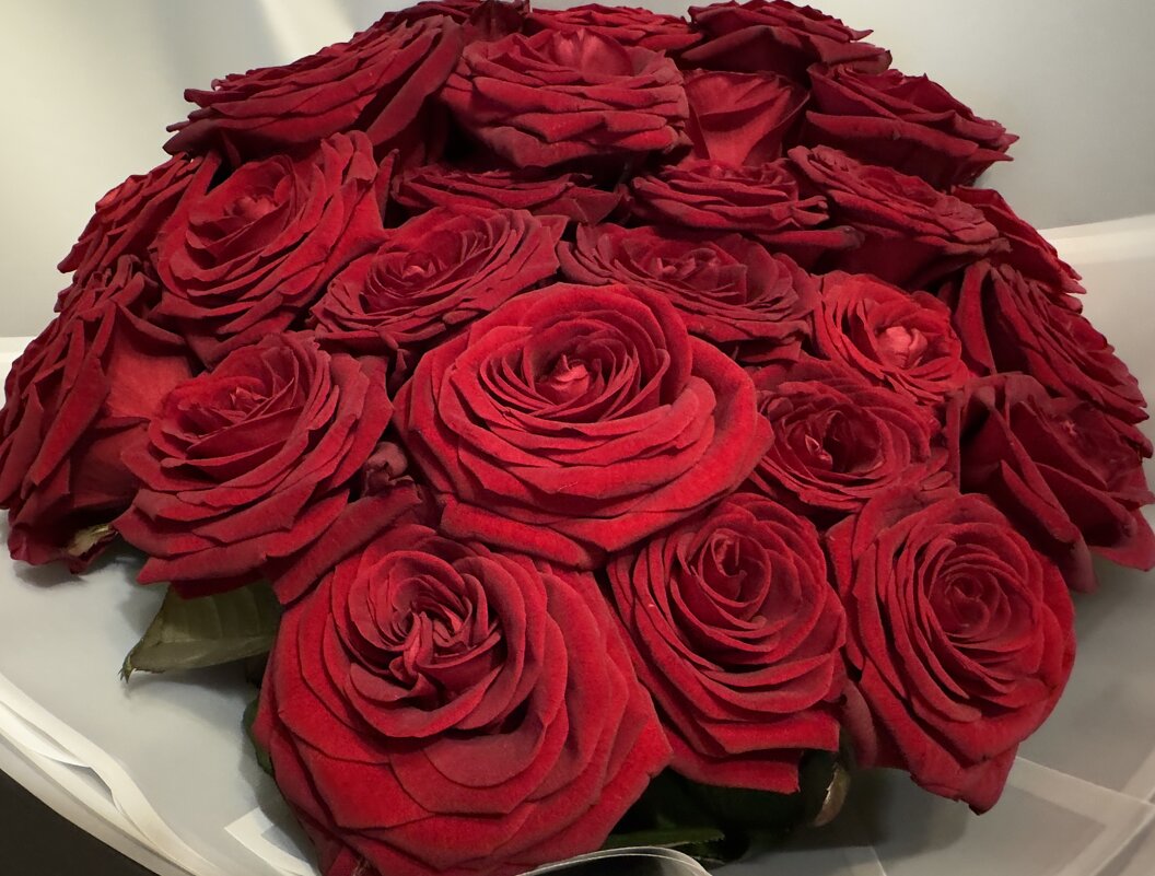 Цветы! - Дмитрий Багмет Цветы! - Дмитрий Багмет