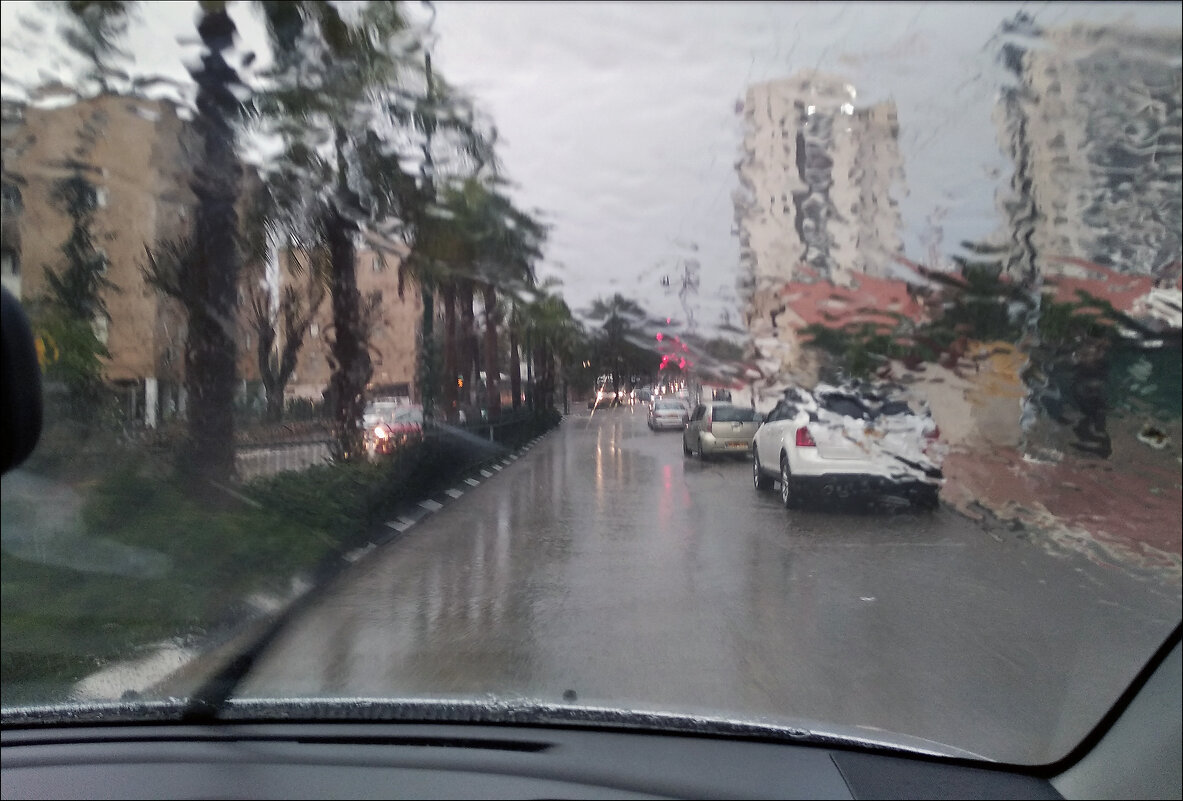 Дождь нарисовал картину... - Валерий Готлиб Дождь нарисовал картину... - Валерий Готлиб