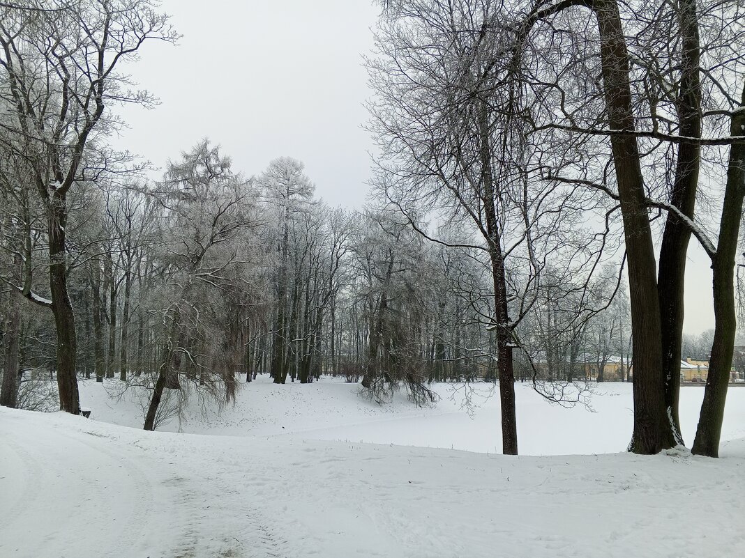 Зима - Сапсан Зима - Сапсан