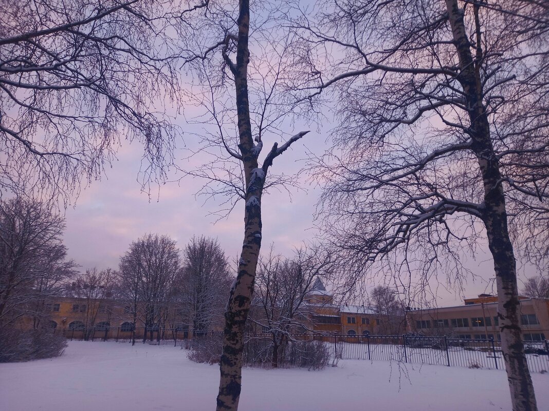 Закат - Сапсан 