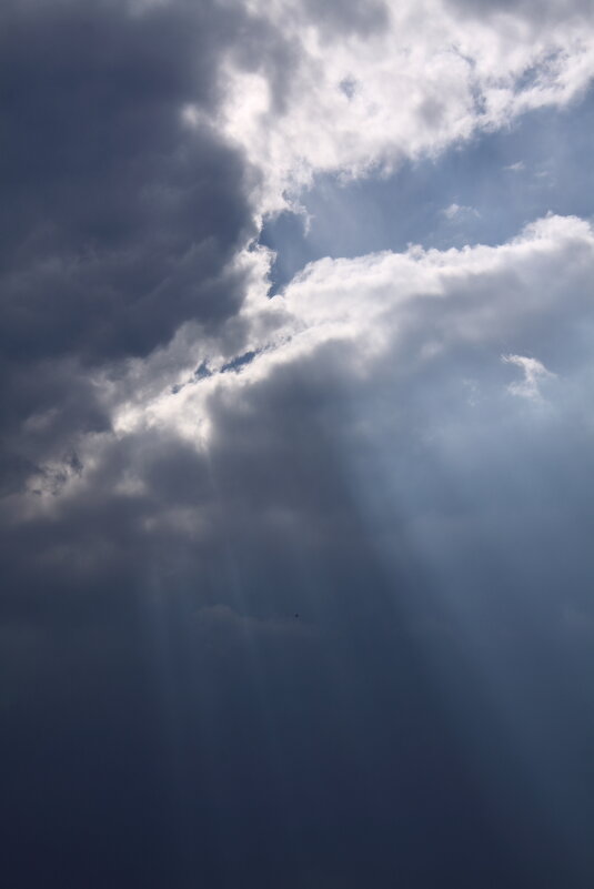 просвет - Александр Кольцов