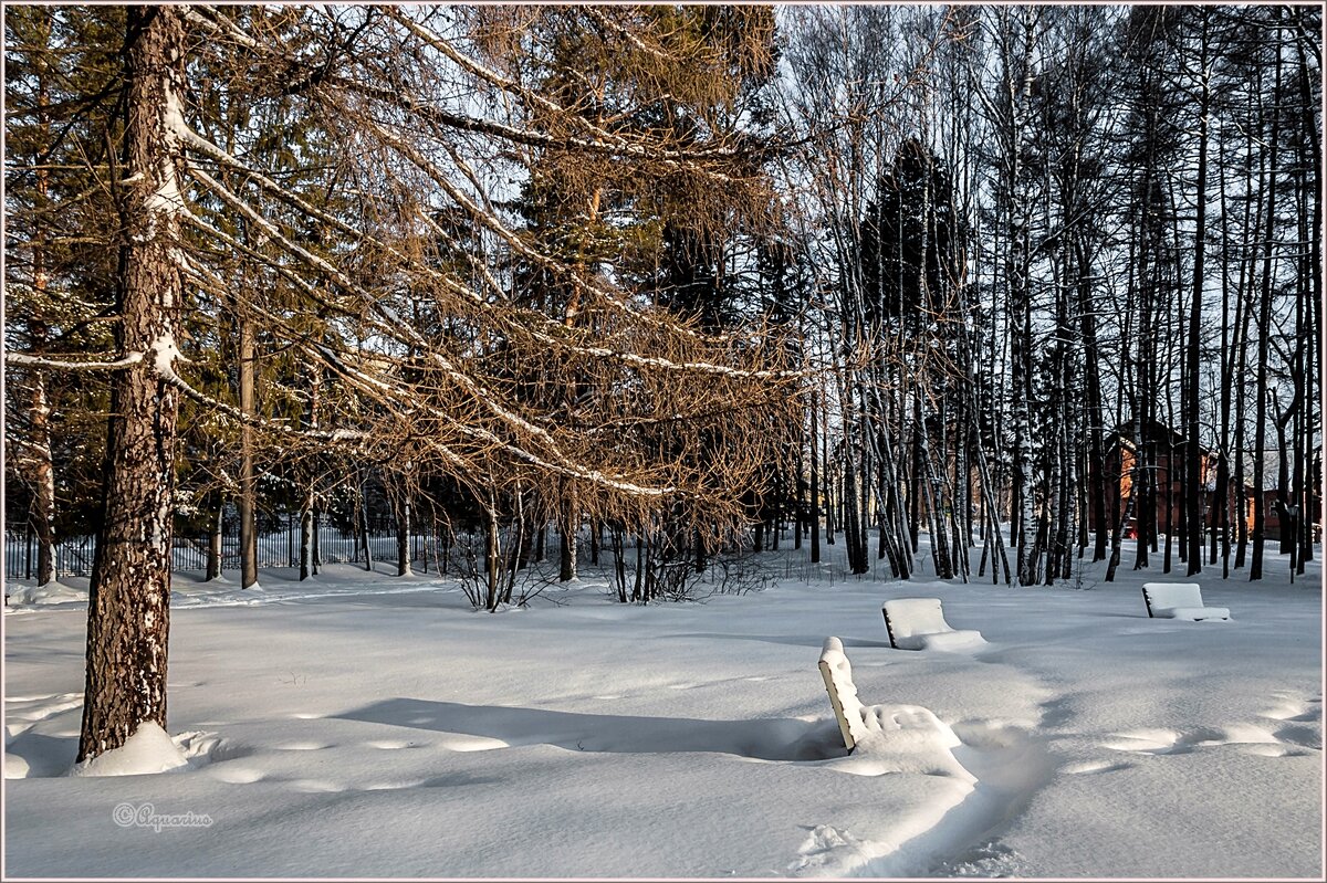 Зимний парк - Aquarius - Сергей Зимний парк - Aquarius - Сергей