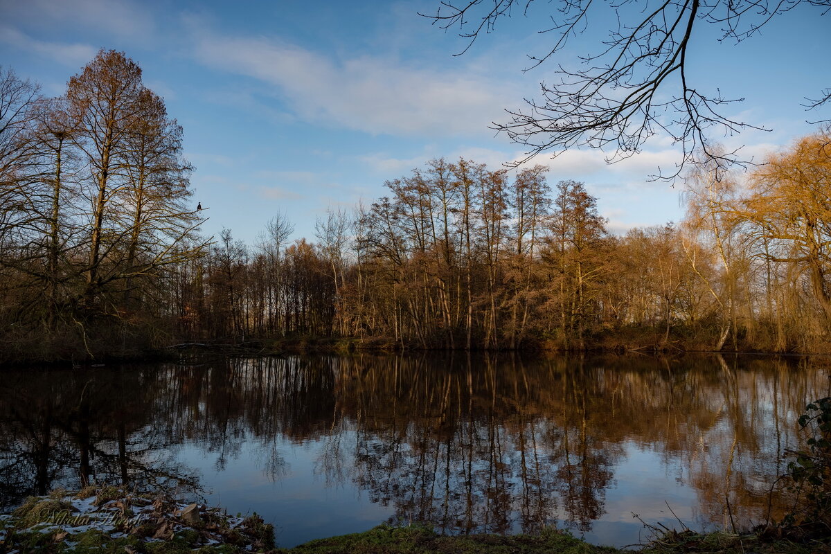 На дальнем пруду... - Николай Гирш На дальнем пруду... - Николай Гирш