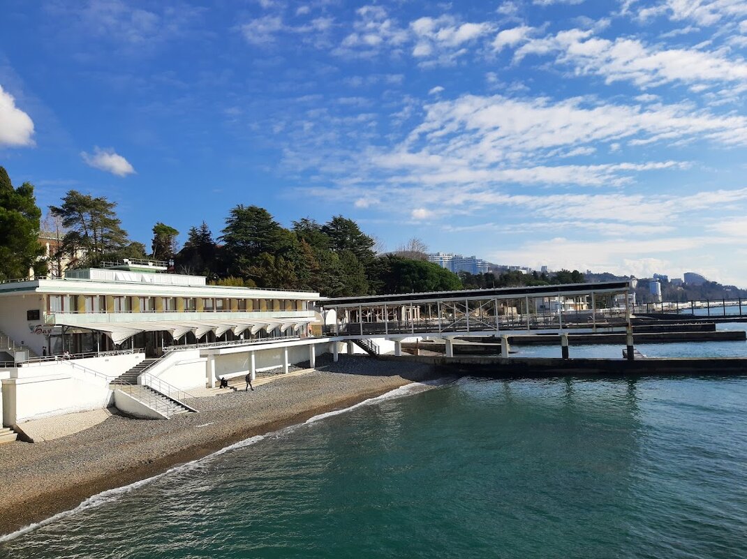 Санаторий Авангард Сочи. Январь 2025 - Tata Wolf Санаторий Авангард Сочи. Январь 2025 - Tata Wolf