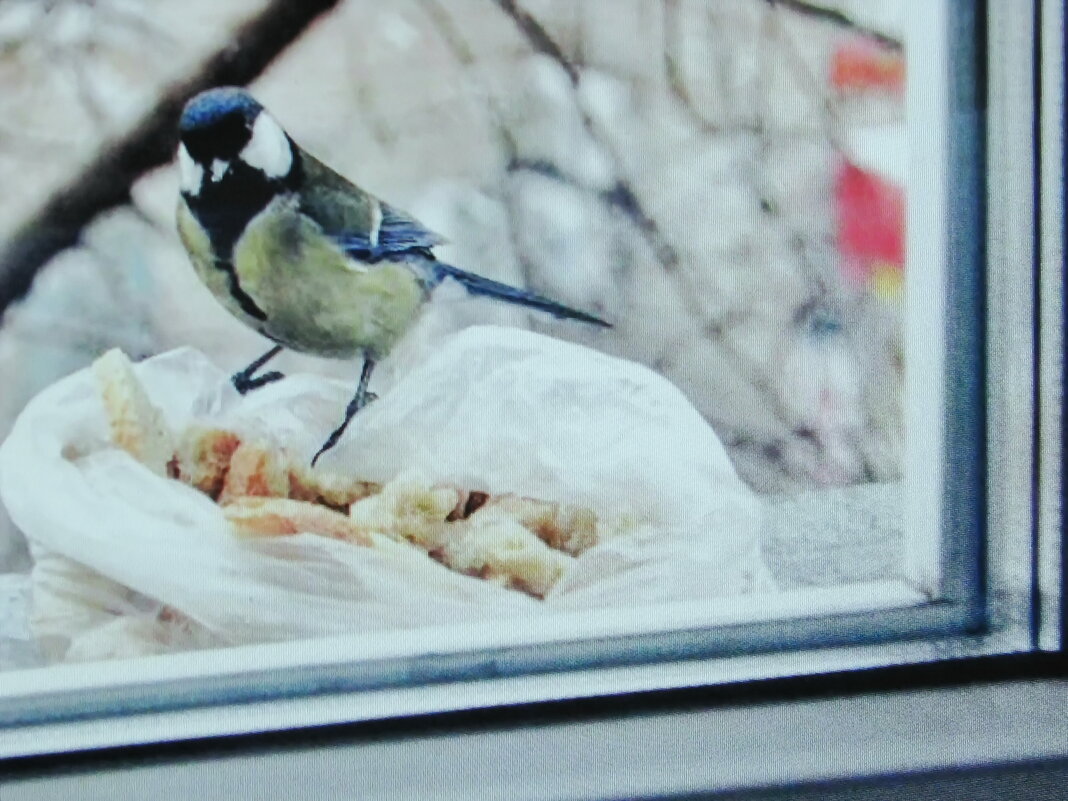 За окошком - Людмила Смородинская За окошком - Людмила Смородинская