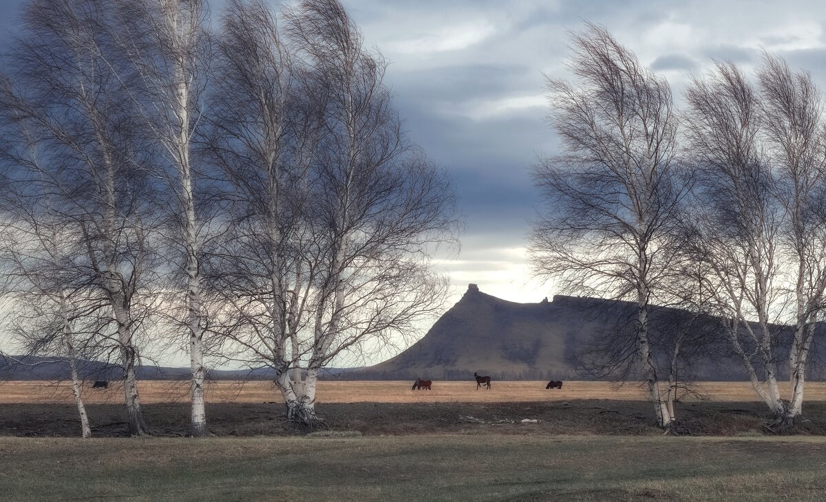 Весна на Сундуках - Марина Фомина. Весна на Сундуках - Марина Фомина.