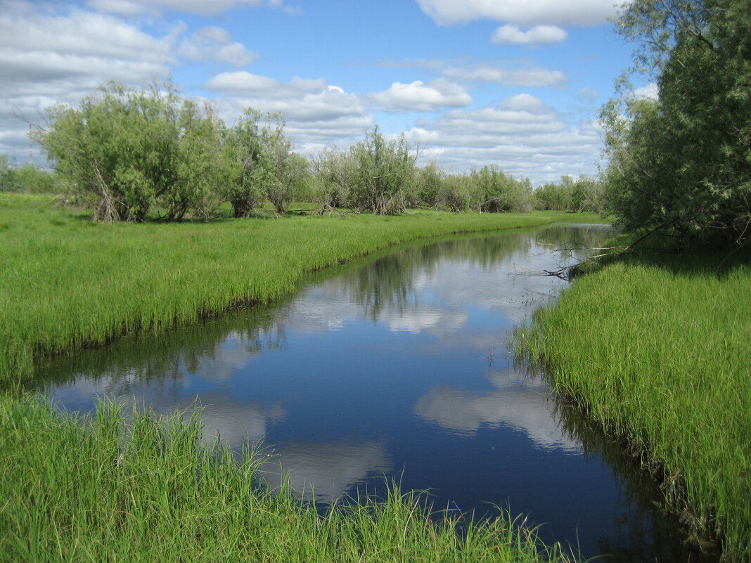 Лето - Anna Ivanova