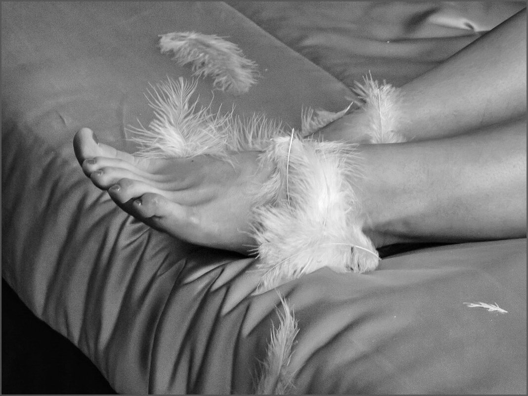 Эволюция - Наталья Rosenwasser Эволюция - Наталья Rosenwasser