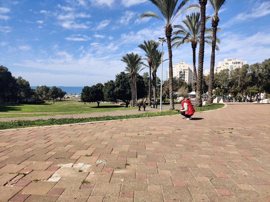 Тоня, что ты там нашла? - Светлана Хращевская Тоня, что ты там нашла? - Светлана Хращевская