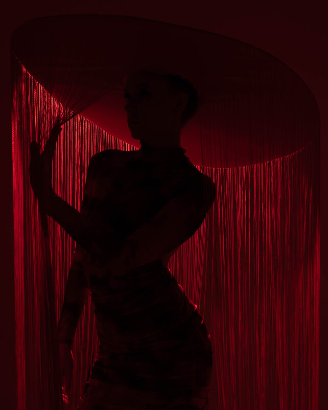 Силуэт - Лилия Селезнева