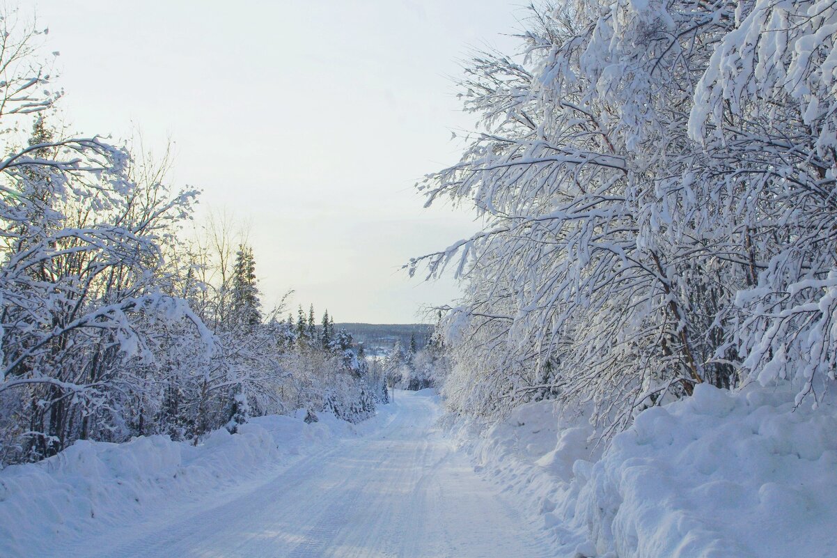 Зимняя дорога - Сергей Швечков
