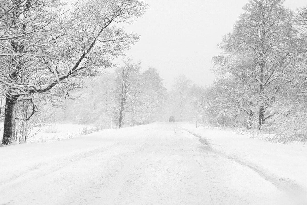 ... - Елена Пономарева ... - Елена Пономарева