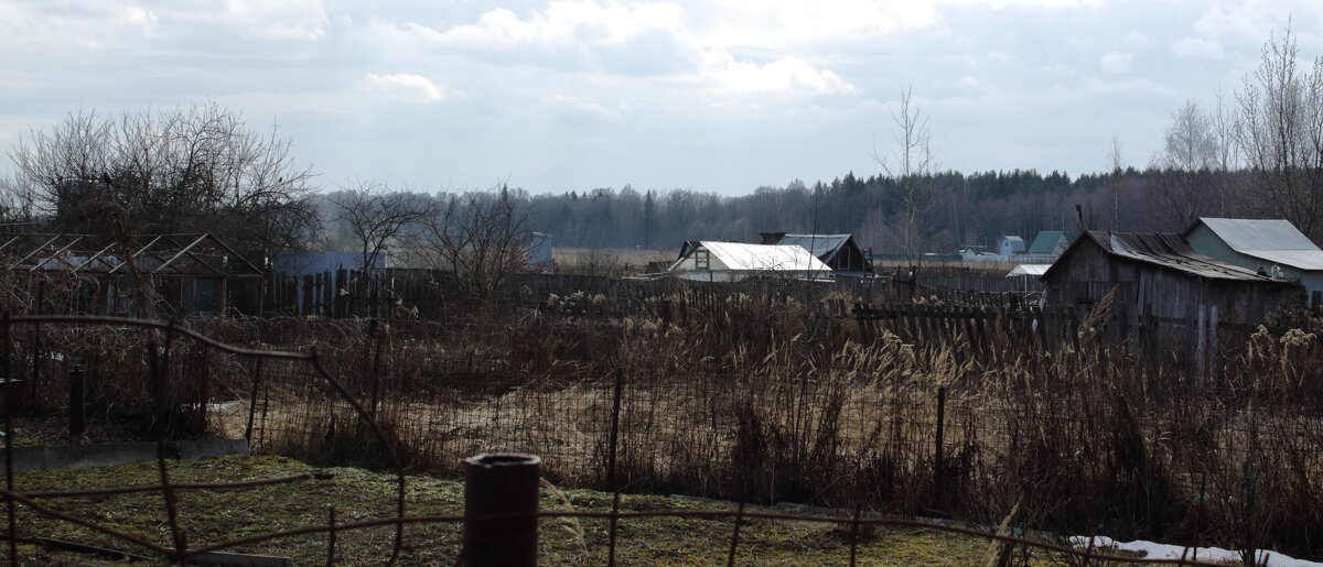 ... - Александр Кольцов