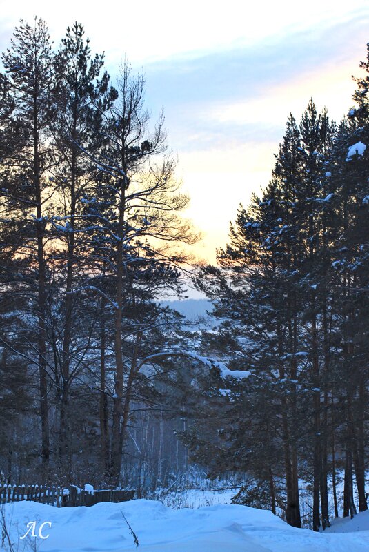 На закате - Любовь Сахарова