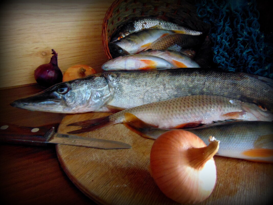 Рыбный день. - nadyasilyuk Вознюк Рыбный день. - nadyasilyuk Вознюк