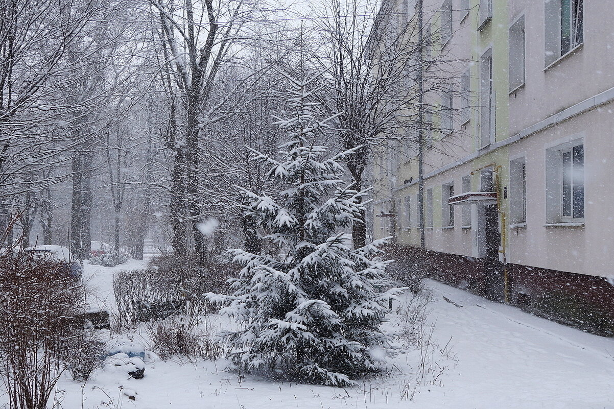 Февраль в городе - Рита Симонова Февраль в городе - Рита Симонова
