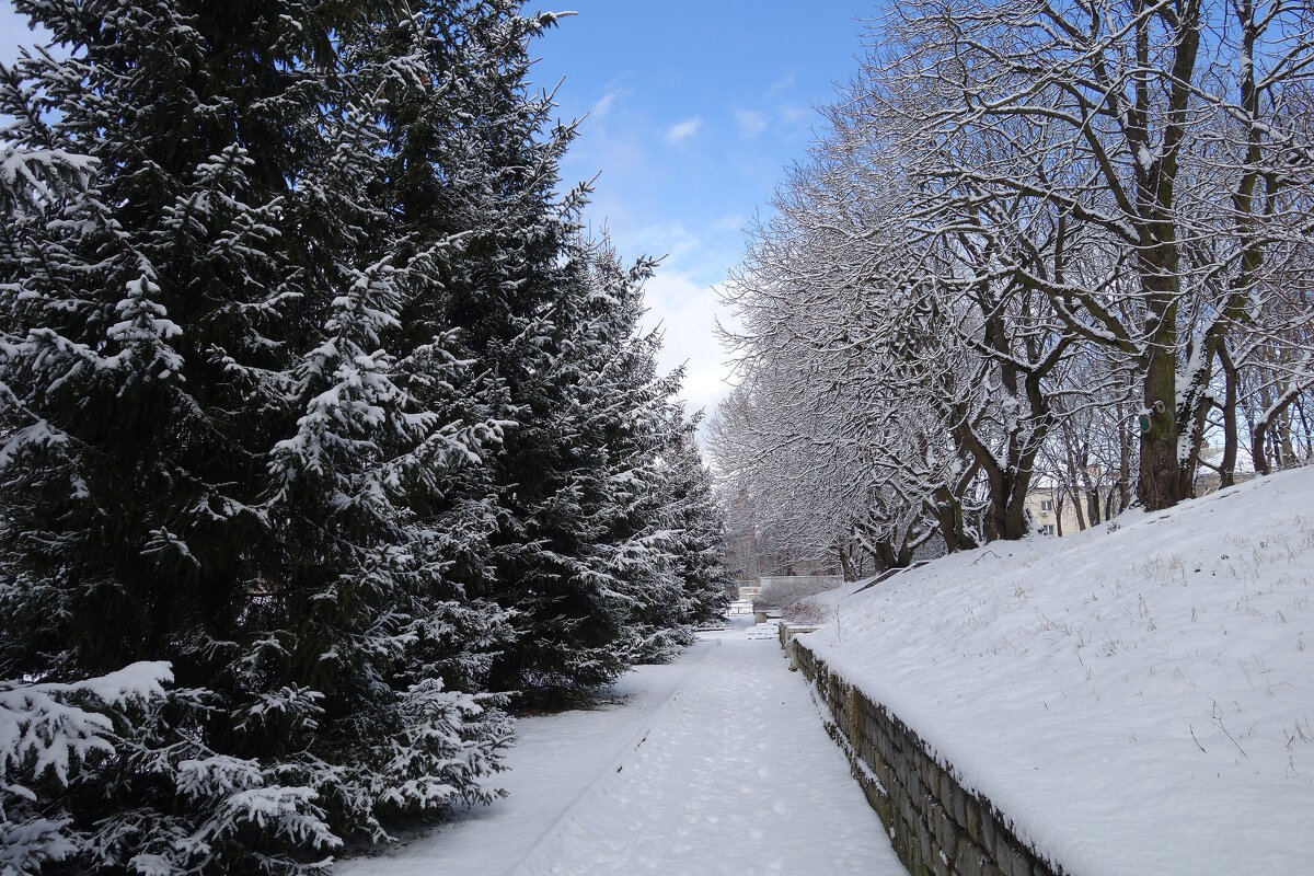 Февраль в городском парке - Рита Симонова Февраль в городском парке - Рита Симонова