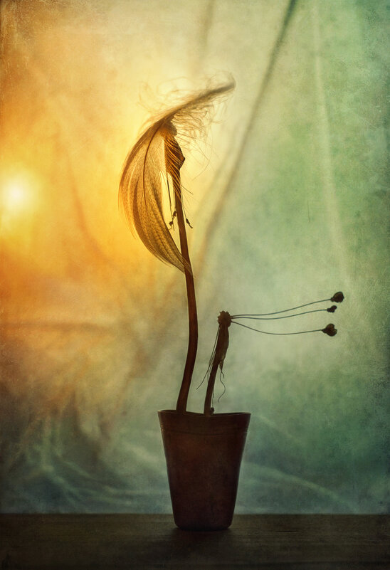 К весне... - Oleg Rastorguev