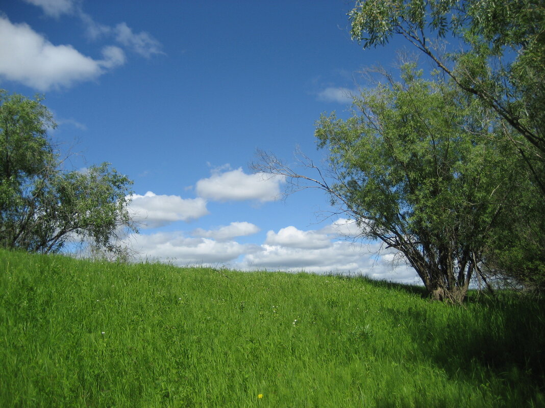 Лето - Anna Ivanova