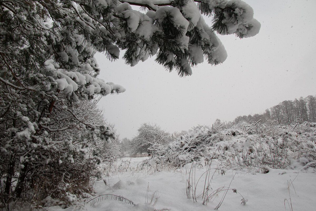 *** - Геннадий Порохов