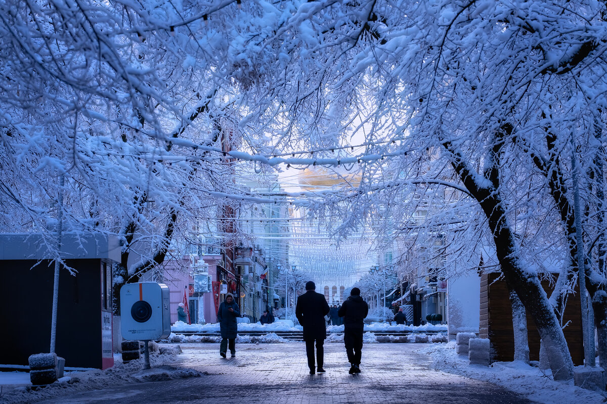 Февральский снегопад в Ростове на Дону - Александр Февральский снегопад в Ростове на Дону - Александр