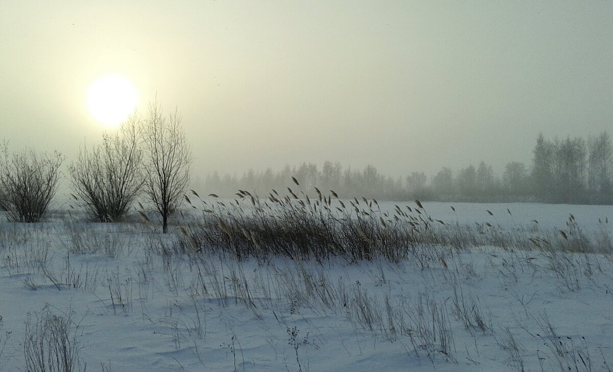 Утро туманное. - сергей ермошкин Утро туманное. - сергей ермошкин