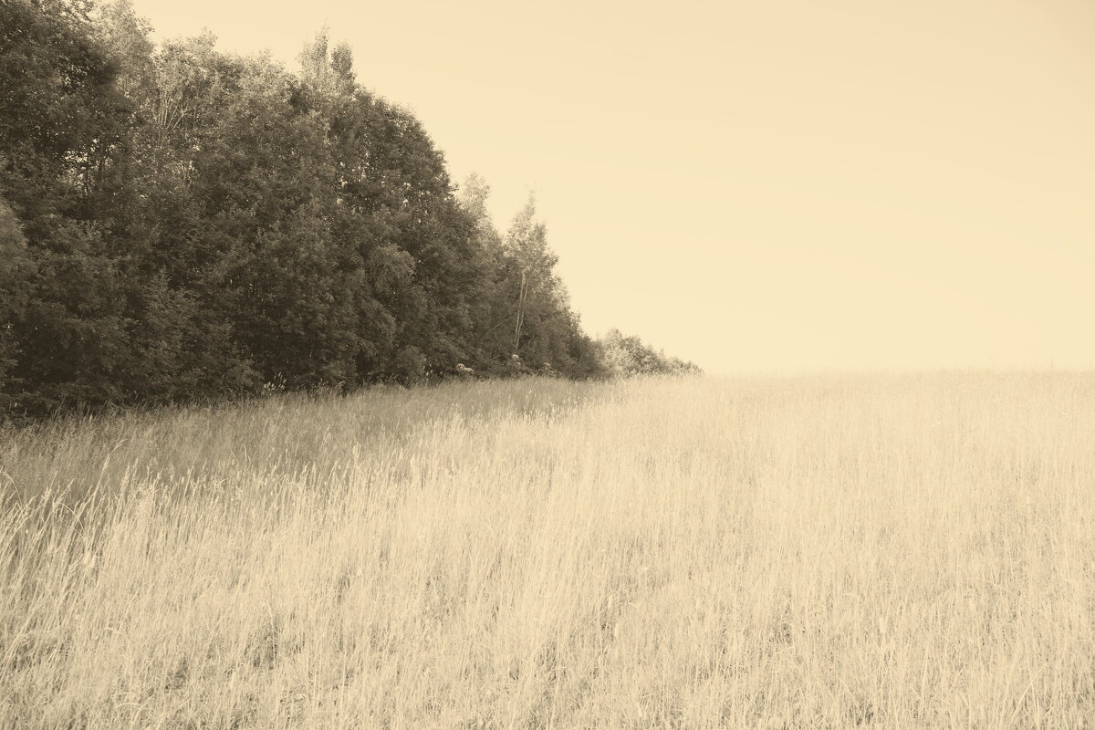 Название отсутствует - Денис Безногов Название отсутствует - Денис Безногов