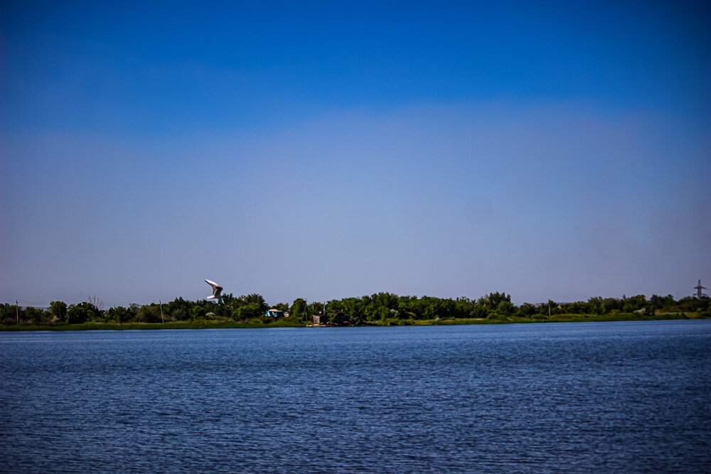 На озере - Светлана SvetNika17 На озере - Светлана SvetNika17