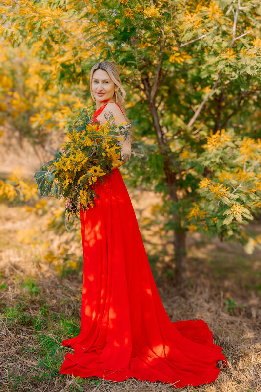 В мимозовом саду - Елена В мимозовом саду - Елена