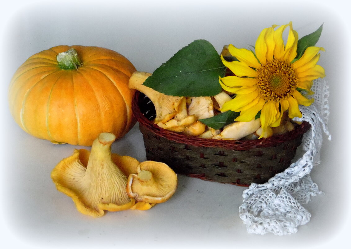 Натюрморт с лисичками. - nadyasilyuk Вознюк