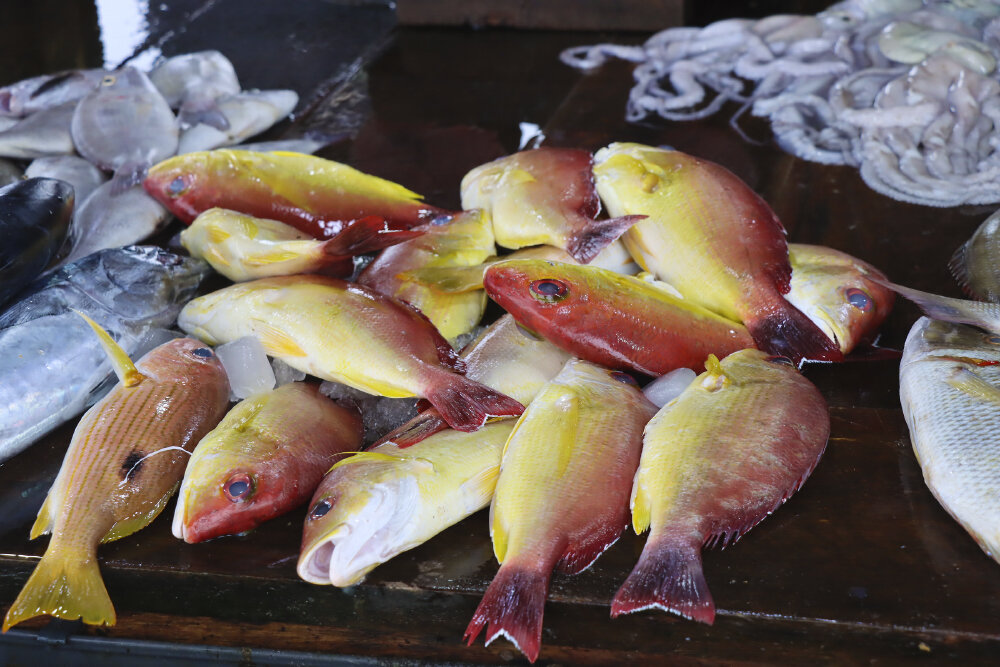 Золотая рыбка - Галина Ильясова Золотая рыбка - Галина Ильясова