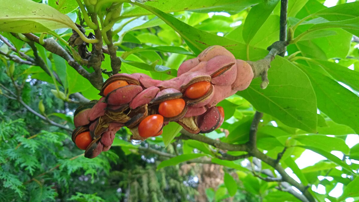 на юге - Елена Шаламова на юге - Елена Шаламова
