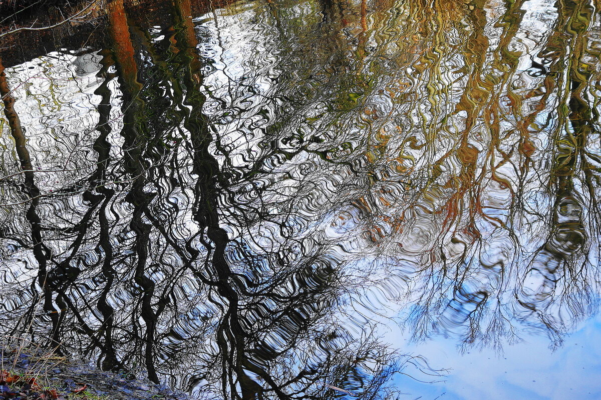 Зимние фантазии - Рита Симонова Зимние фантазии - Рита Симонова